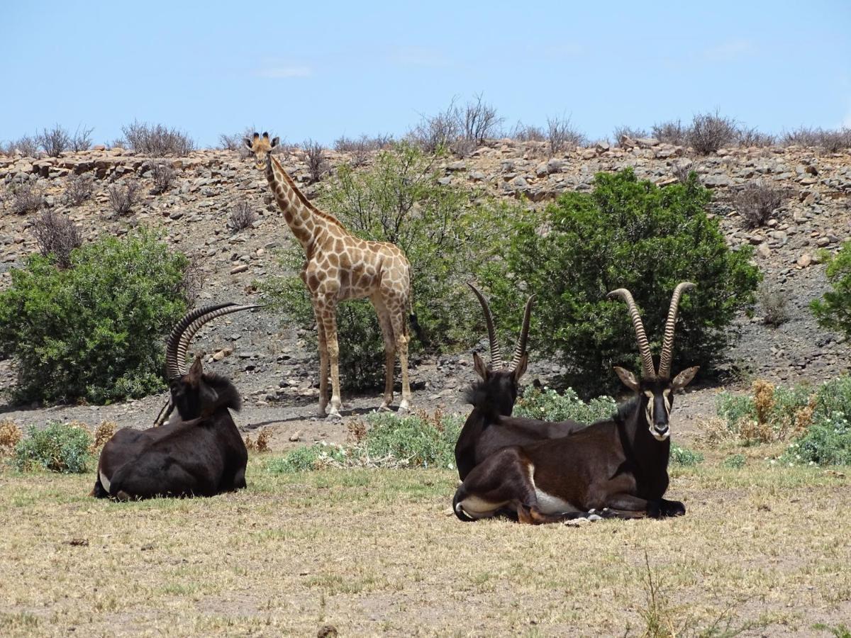 Teri-Lemveli Lodge Beaufort West Esterno foto