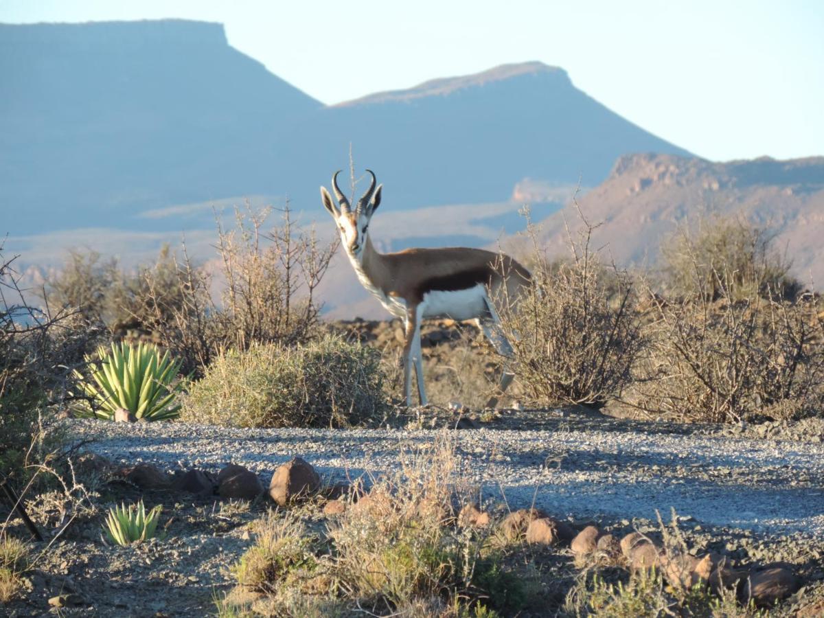 Teri-Lemveli Lodge Beaufort West Esterno foto