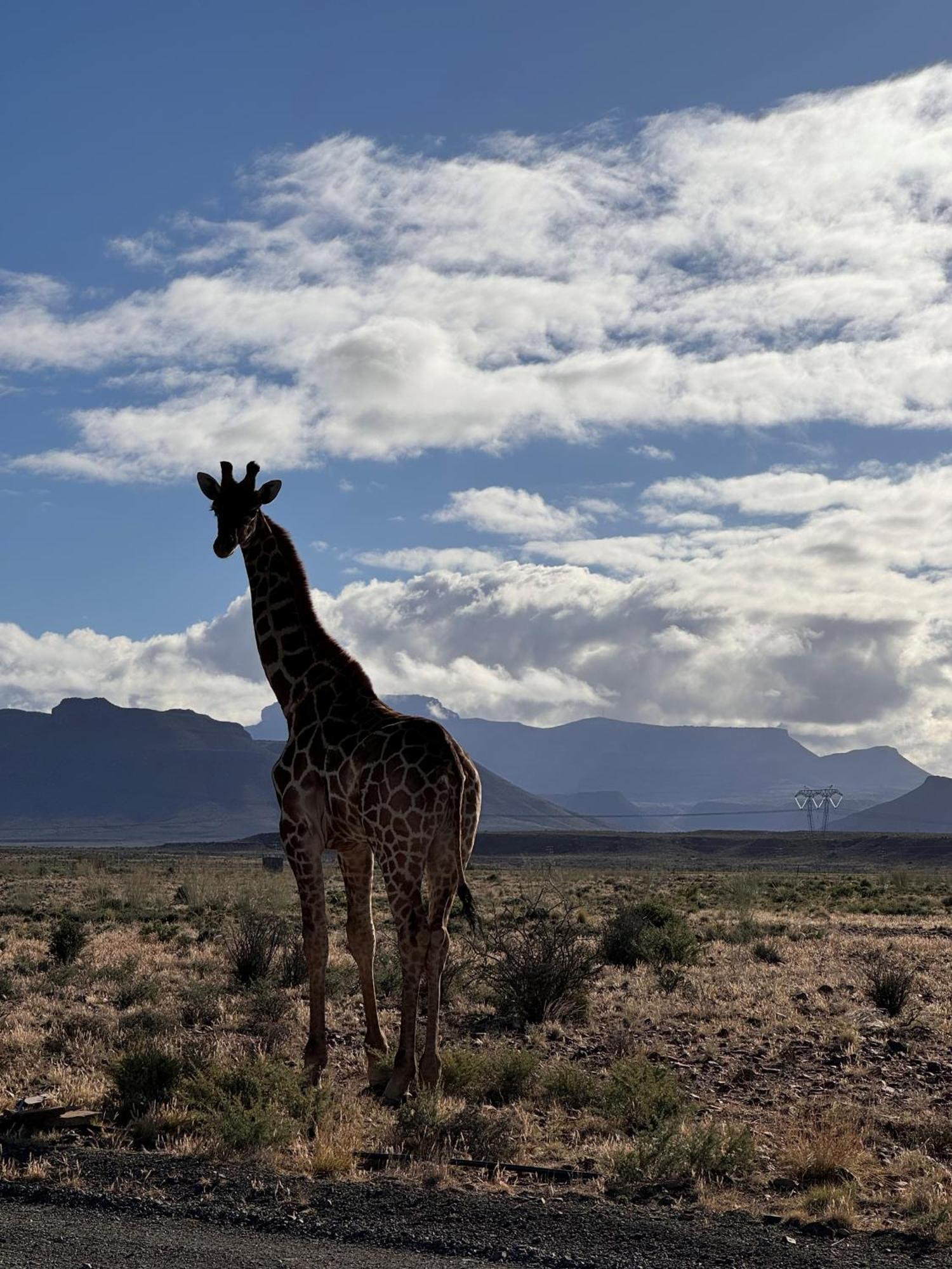 Teri-Lemveli Lodge Beaufort West Esterno foto