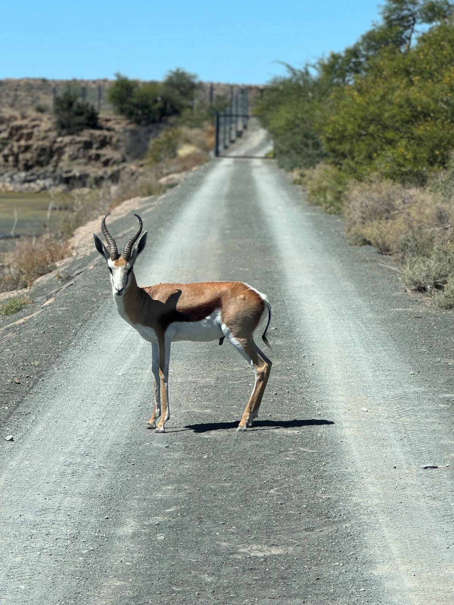 Teri-Lemveli Lodge Beaufort West Esterno foto