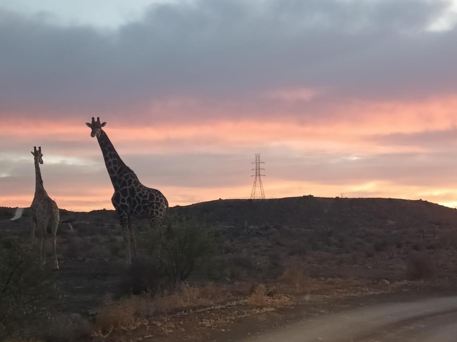 Teri-Lemveli Lodge Beaufort West Esterno foto
