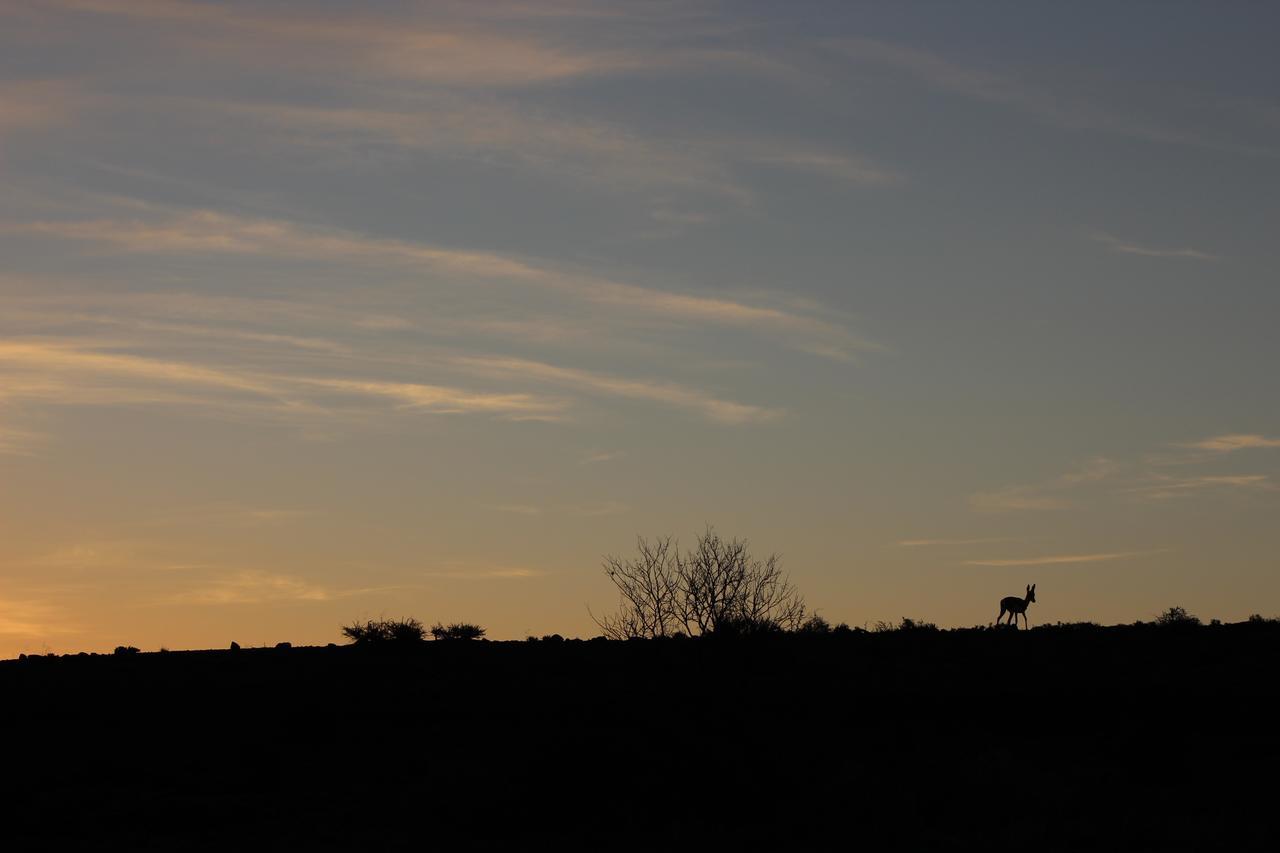 Teri-Lemveli Lodge Beaufort West Esterno foto
